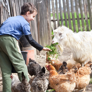 Letní příměstský tábor - ZVÍŘECÍ FARMA