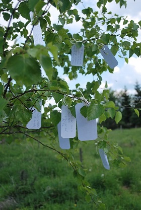 Mindfulness výcvik - 8 dvouhodinových lekcí - úterky dopoledne