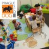 Dětský koutek na Prague Dog Expo